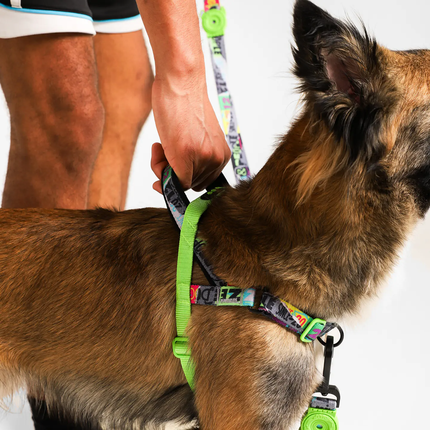 Arnés Anti-Tirones SofterWalk Manifesto Zee.Dog para Perro 3