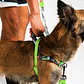 Arnés Anti-Tirones SofterWalk Manifesto Zee.Dog para Perro - Miniatura 3