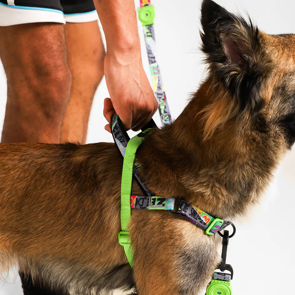 Arnés Anti-Tirones SofterWalk Manifesto Zee.Dog para Perro 3