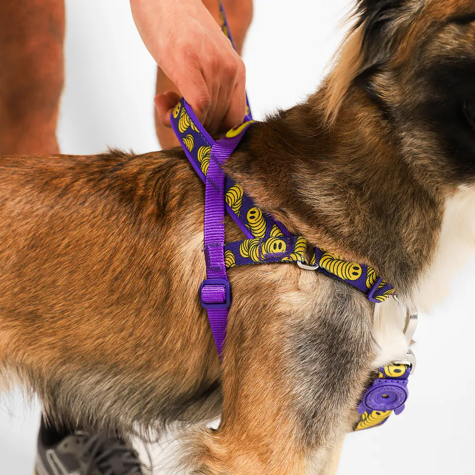 Arnés Anti-Tirones SofterWalk Zmiley Zee.Dog para Perro 3