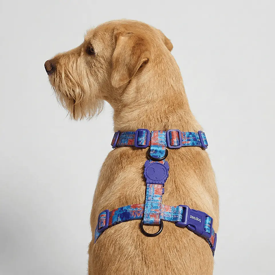 🔵⚡ Arnés en H Error #404 Zee.Dog para Perro 1