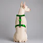 🟩💚 Arnés en H Error #410 Zee.Dog para Perro - Miniatura 3