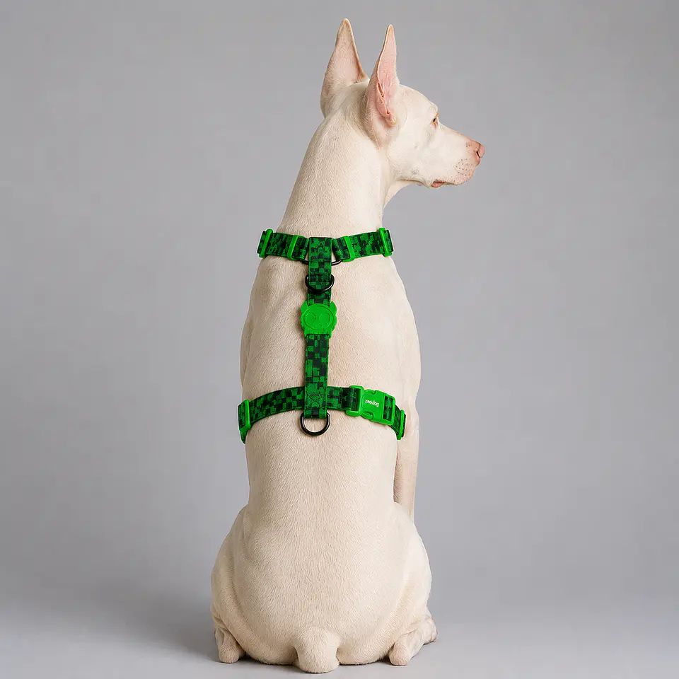 🟩💚 Arnés en H Error #410 Zee.Dog para Perro 3