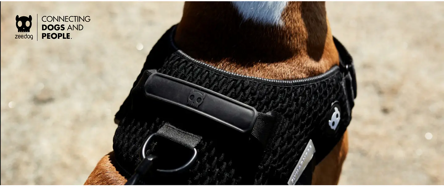 Accesorios que marcan la diferencia