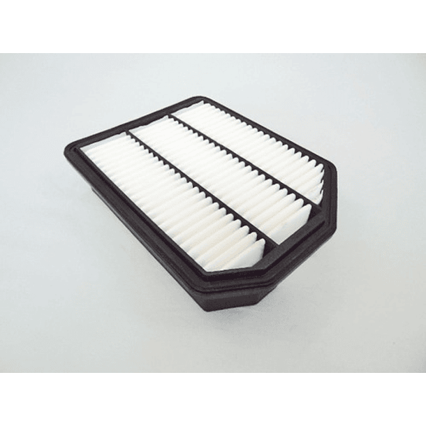 Filtro Aire Kia Carens 2.0 07-10 Dsl Alt