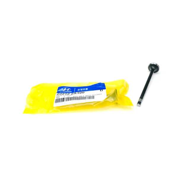 VALV ESC HY NEW H1 D4CB