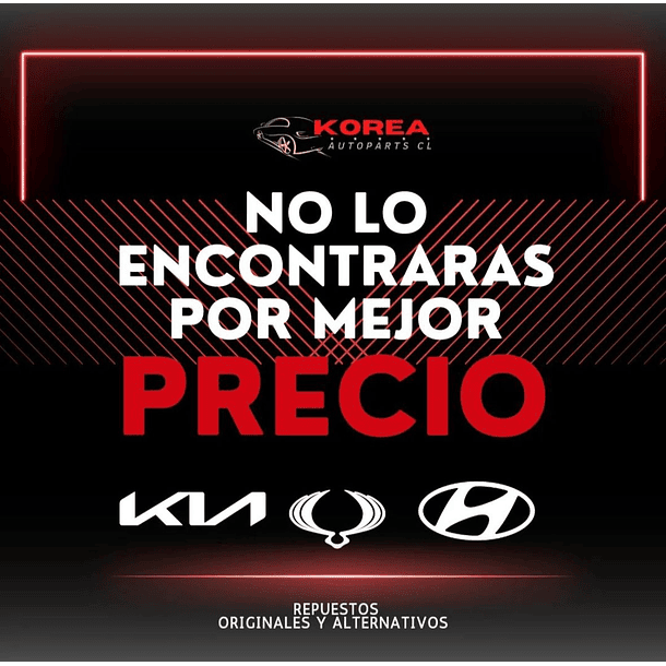 CAZOLETAS ELANTRA 2024