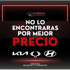 OPTICO LED+CUBRE MOTOR KIA RIO