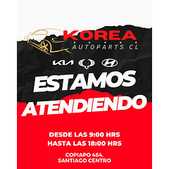 Disco Del Gran i10 x2 / Pastilla del Gran 