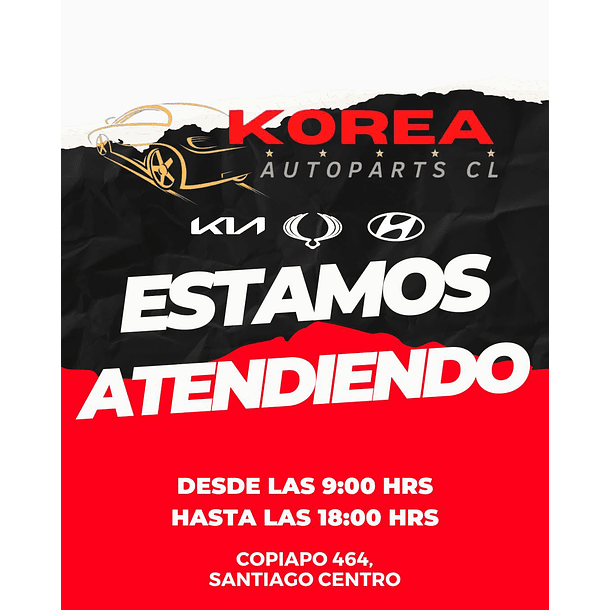 Disco Del Gran i10 x2 / Pastilla del Gran 