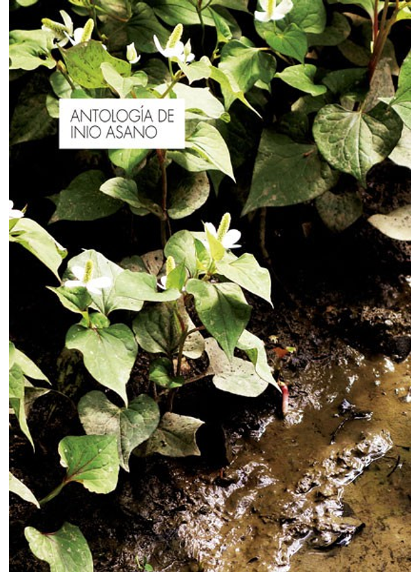 Antología De Inio Asano 