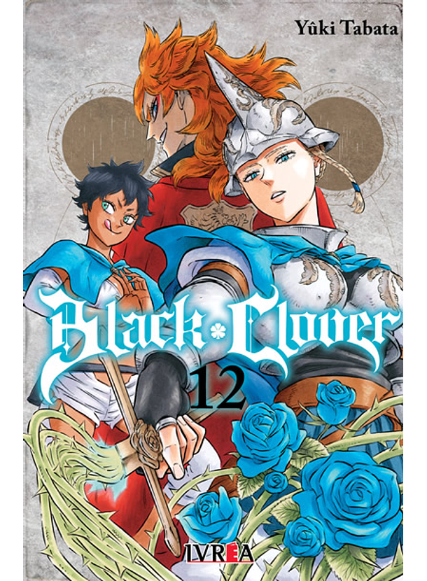 Black Clover 12 