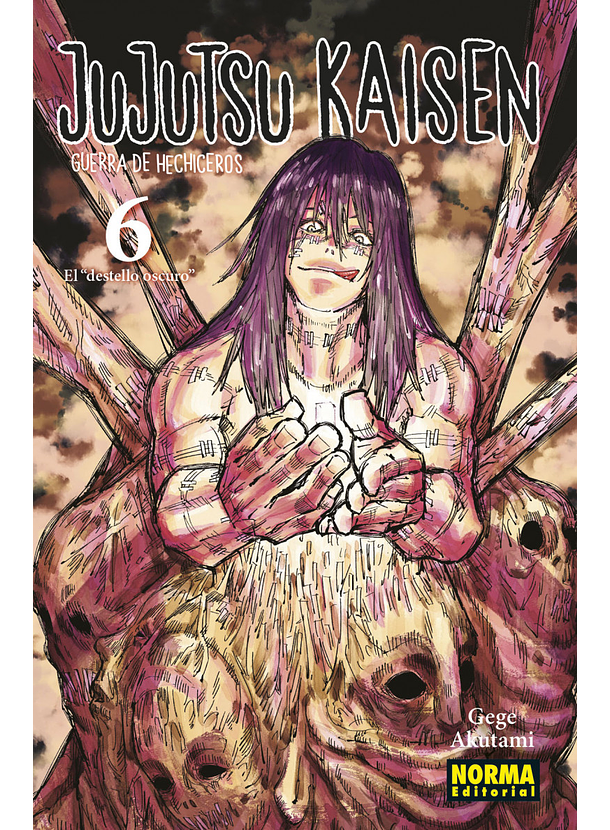 Jujutsu Kaisen 06 
