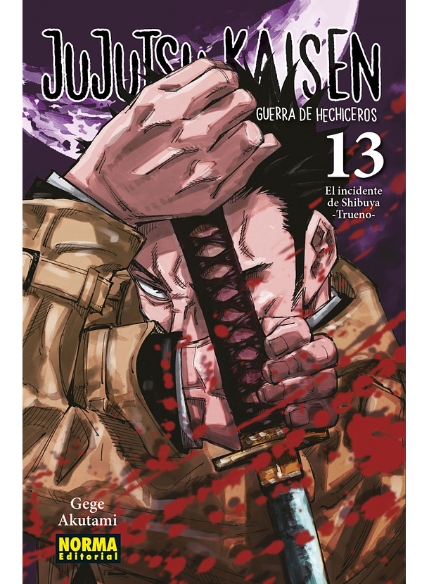Jujutsu Kaisen 13 