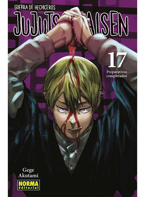 Jujutsu Kaisen 17 