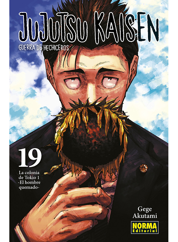 Jujutsu Kaisen 19 