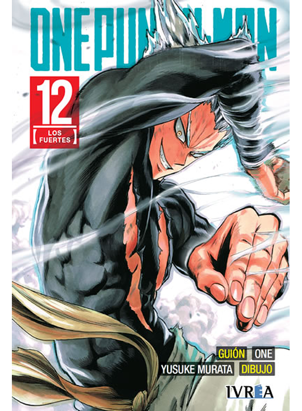 One Punch Man 12 