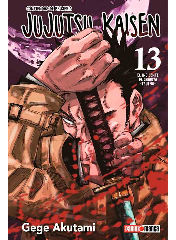 Jujutsu Kaisen 13 