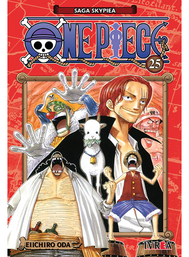One Piece 25 