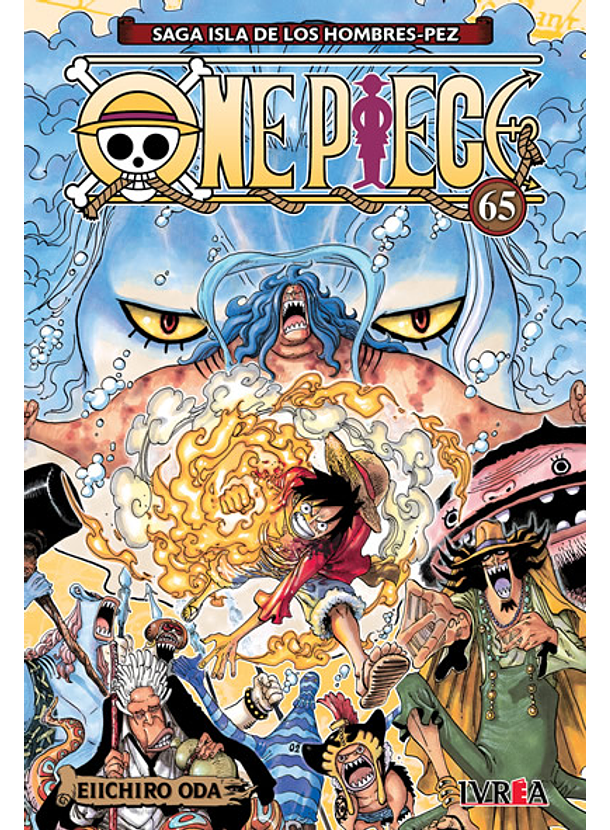 One Piece 65 