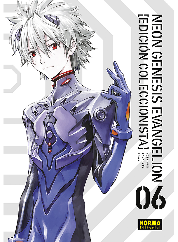 Neon Genesis Evangelion (Edición Coleccionista) 06  