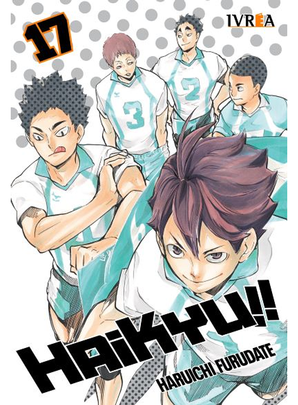 Haikyu!! 17 