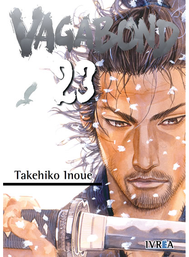 Vagabond 23 