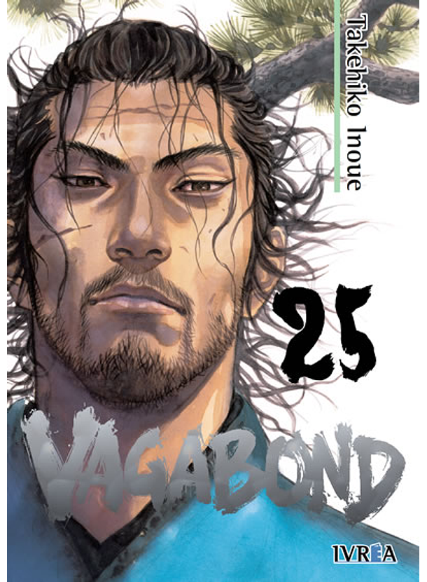 Vagabond 25 