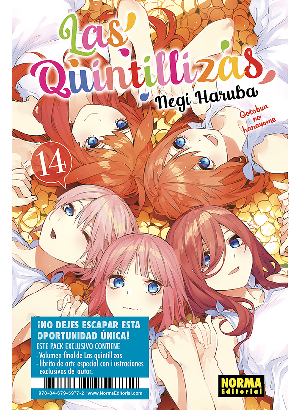Las Quintillizas 14 (Edición Especial)  