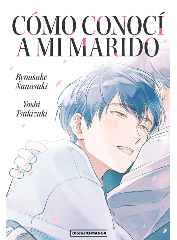 Cómo Conocí A Mi Marido 