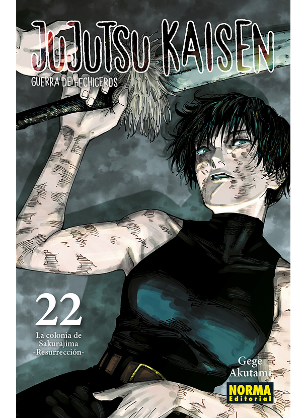 Jujutsu Kaisen 22 