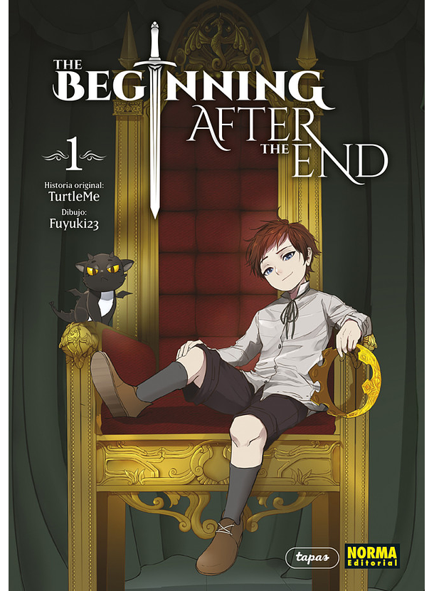 The Beginning After The End 01 