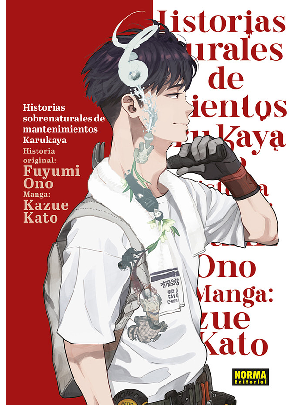 Historias Sobrenaturales De Mantenimientos Karukaya 