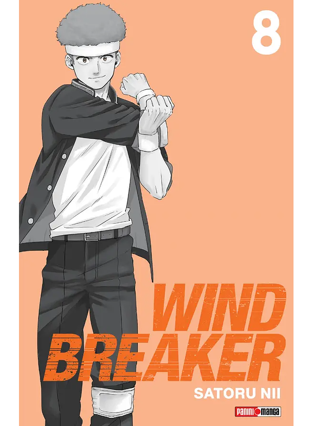 Wind Breaker 08 