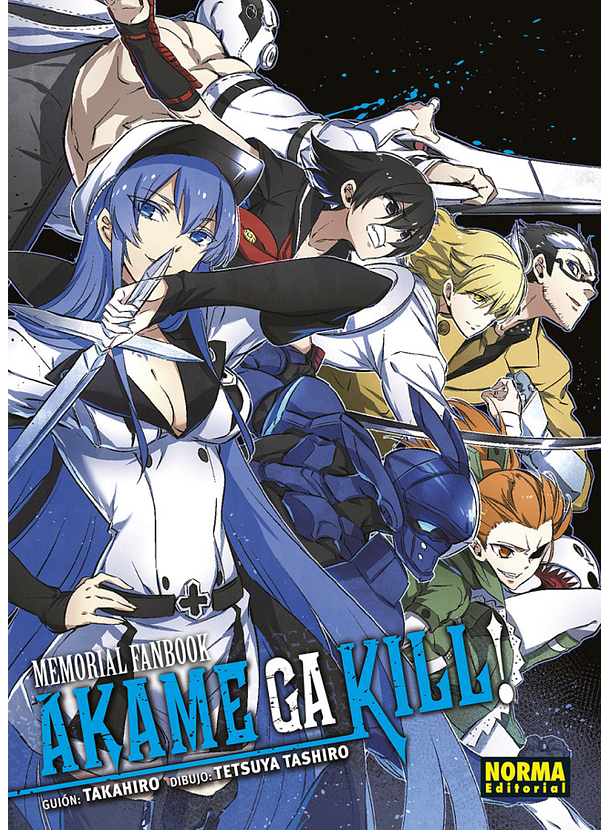 Akame Ga Kill! Memorial Fanbook 