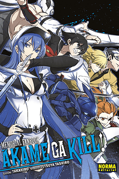 Akame Ga Kill! Memorial Fanbook