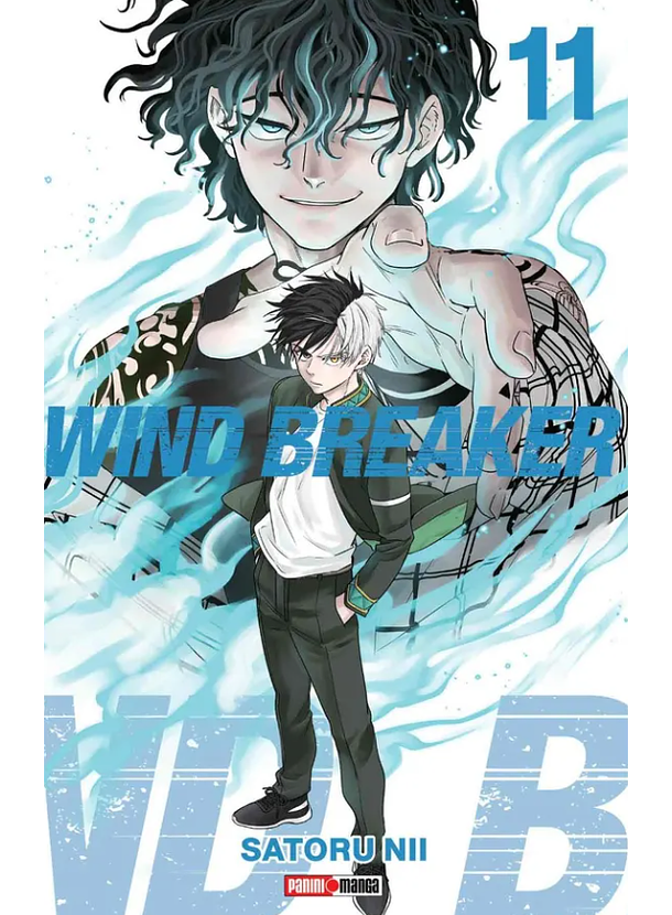 Wind Breaker 11 