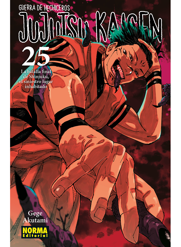 Jujutsu Kaisen 25 