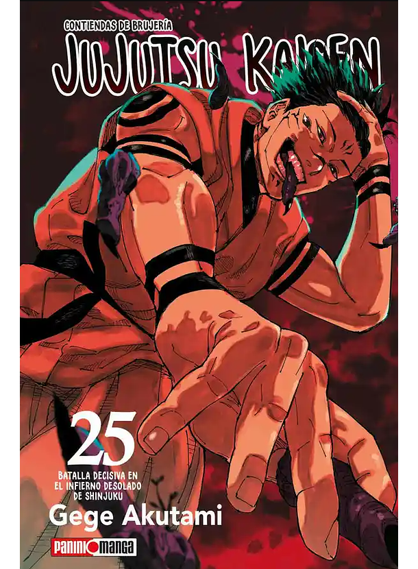 Jujutsu Kaisen 25 