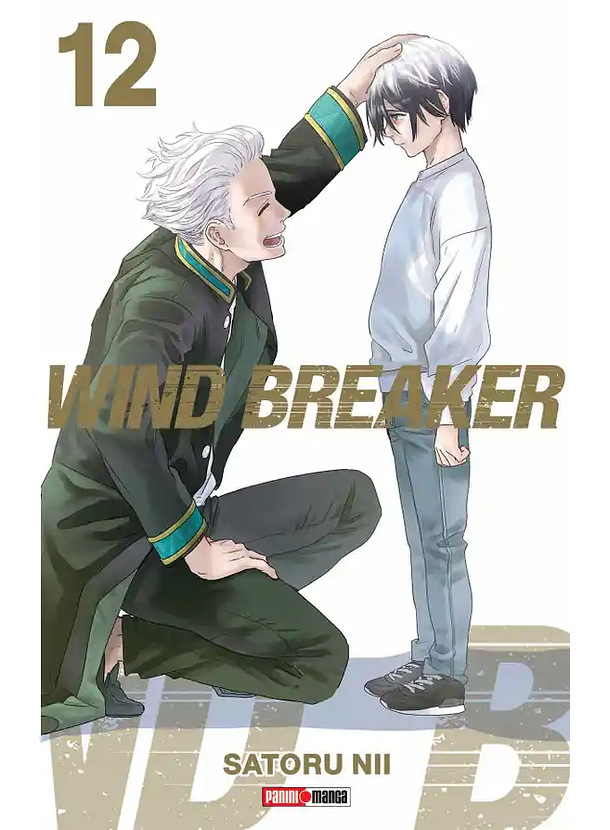 Wind Breaker 12 