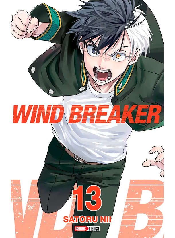 Wind Breaker 13 