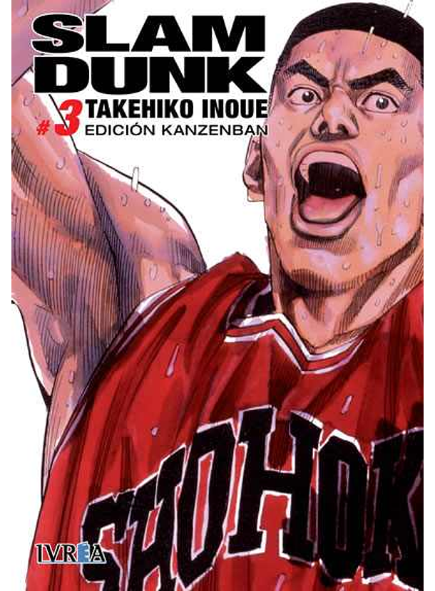 Slam Dunk Edicion Kanzenban 03 
