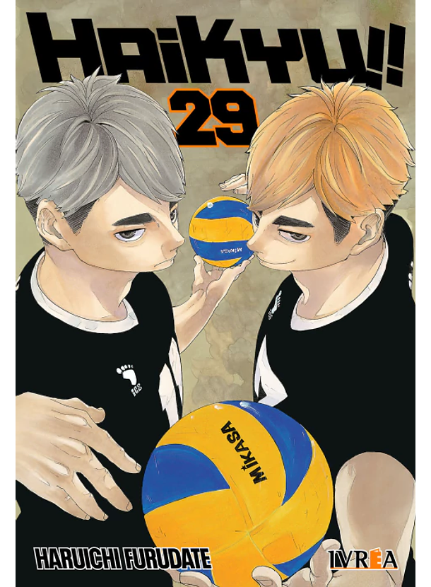 Haikyu!! 29 