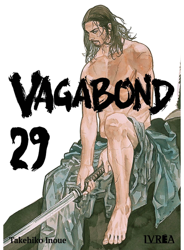 Vagabond 29 