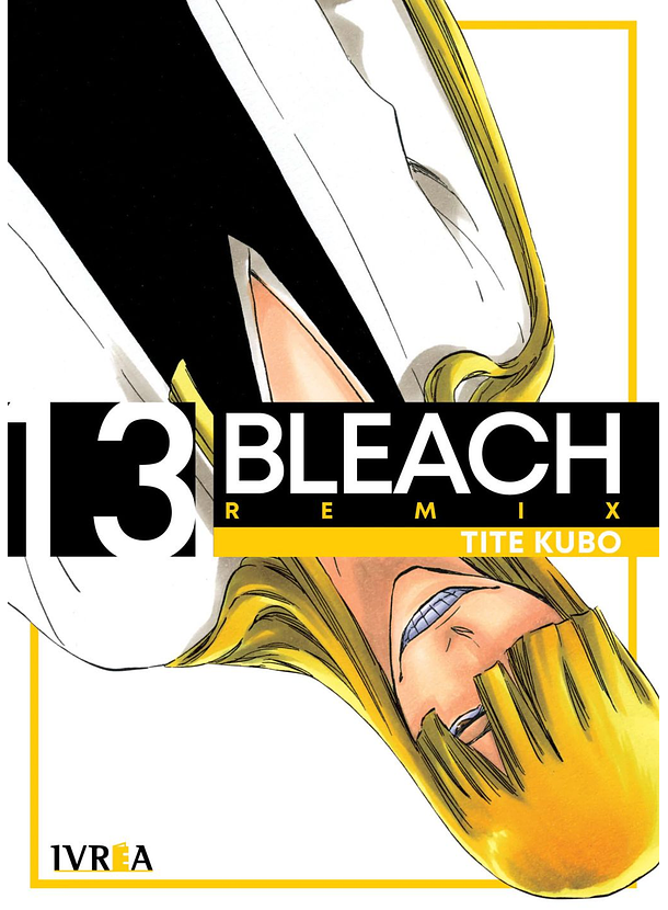 Bleach Remix 13 
