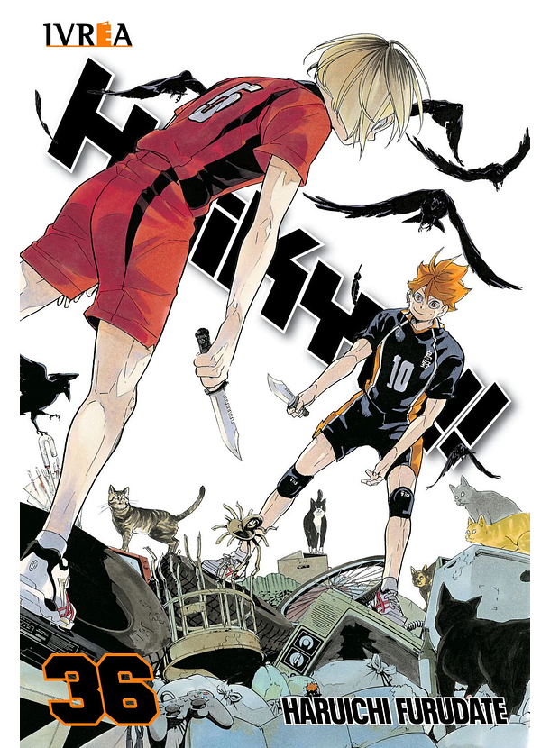 Haikyu!! 36 