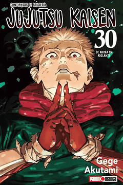 Jujutsu Kaisen 30