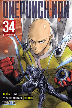 One Punch Man 34