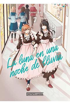 La Luna En Una Noche De Lluvia 07