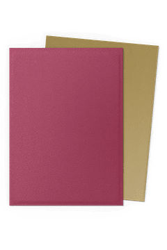 Sleeves Standar Size Matte Dual 100 -25th Special Edition Pomegranate/Gold